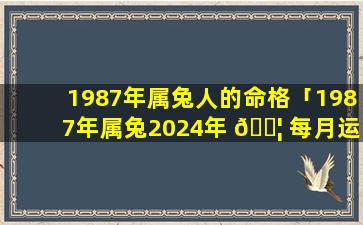 1987年属兔人的命格「1987年属兔2024年 🐦 每月运势完整版」